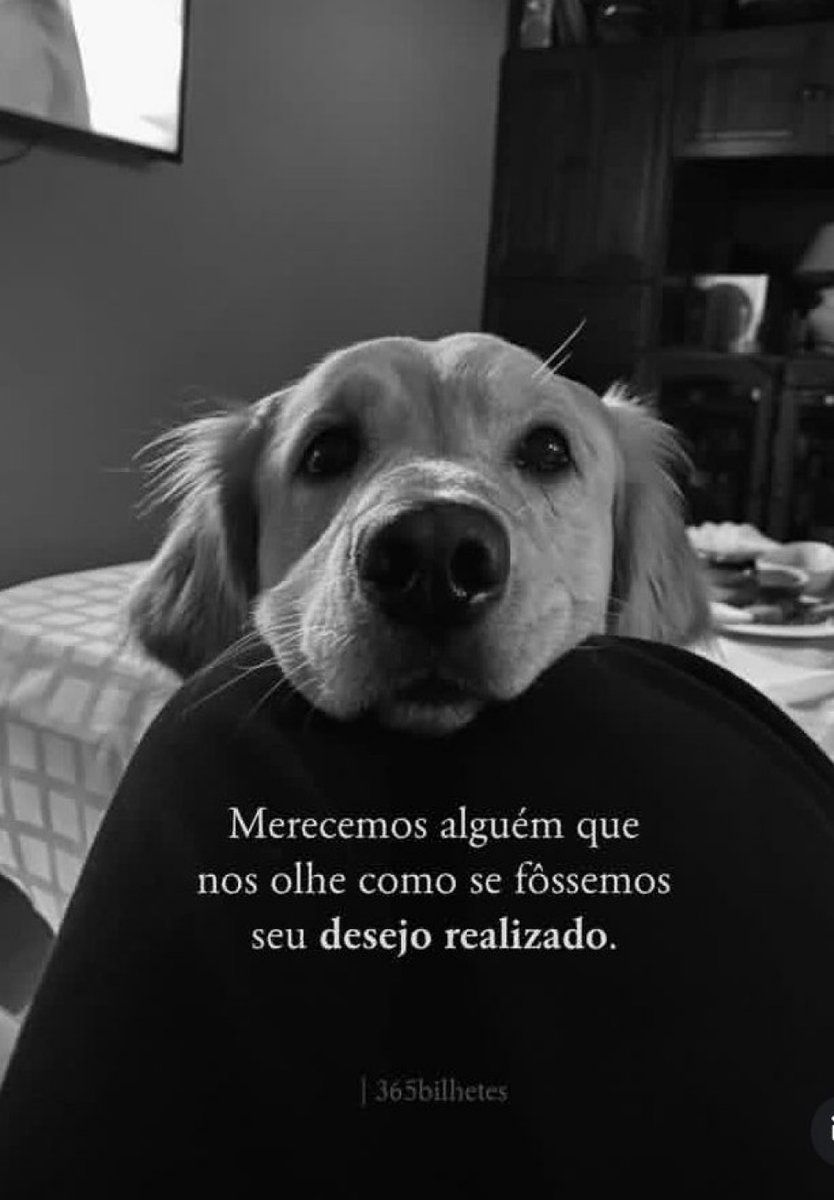 soulembrancas's tweet image. 