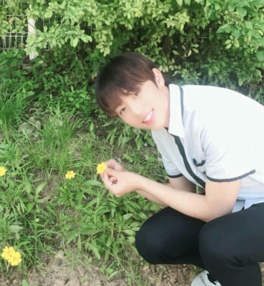 ‧₊ ᨳ julia ྀི .࿔ ¹¹ tweet media