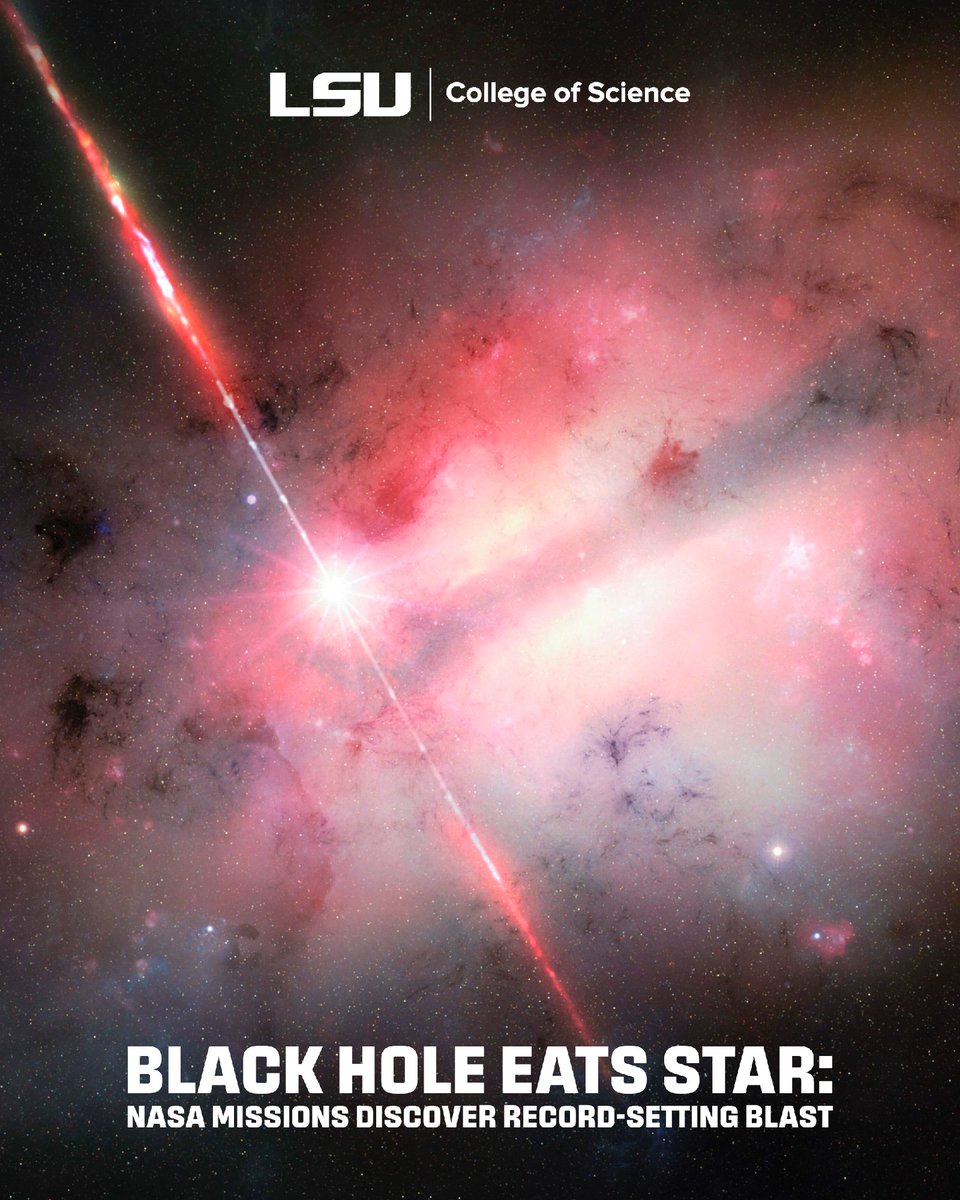 LSU College of Science tweet media