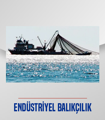 fishingcomtr's tweet photo. İhtiyaç duyduğunuz tüm endüstriyel balıkçılık malzemeleri ve ekipmanları Türkiye'nin Balıkçılık e-Ticaret Pazaryeri https://t.co/jxLOJ6lstP ile kapınızda...
FISHING ile #hayalleriniyakala
https://t.co/G4X3xwXgY4 https://t.co/P8eGxPbQIc