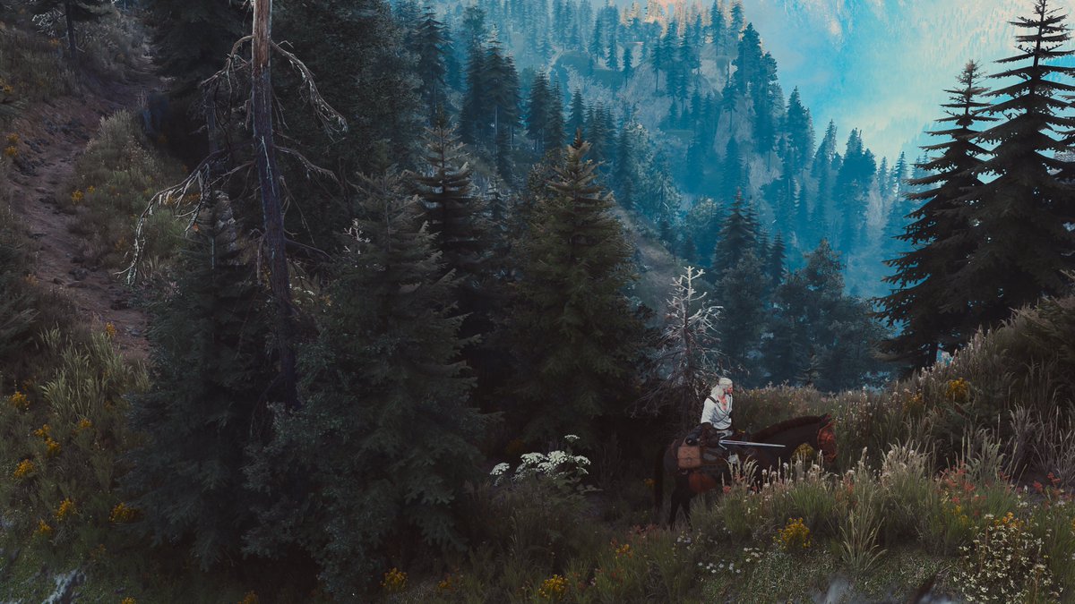 Disco 🌿🔦 tweet media