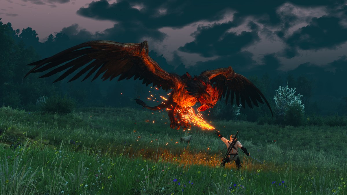 Disco 🌿🔦 tweet media