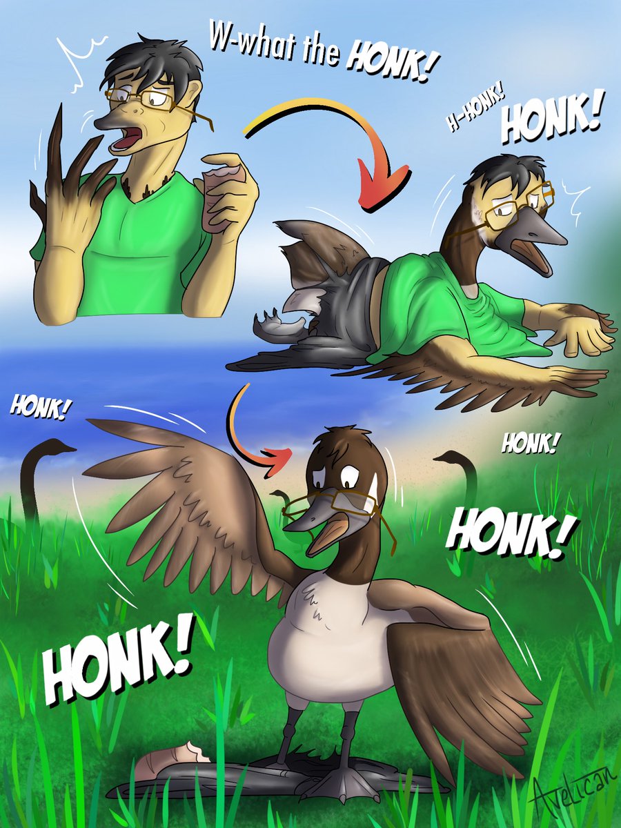 Avelican (avelican.bsky.social) tweet media