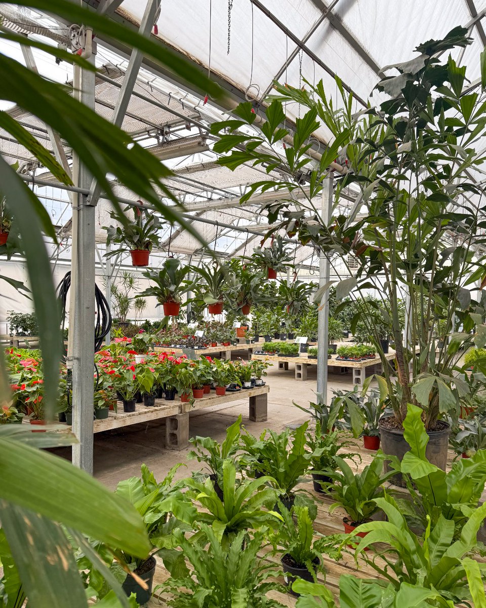 Only five days left to visit and get your Holiday Passport stamped 🎄

Stop in soon to check Mulhalls off your list before the season wraps up.

#mymulhalls #holidaypassport #omahaholidays #shoplocalomaha #mulhallsmoments