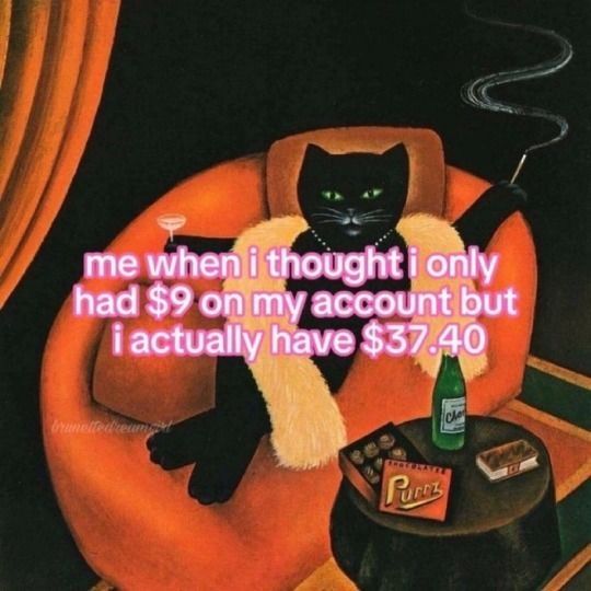 TweetsOfCats's tweet image. 