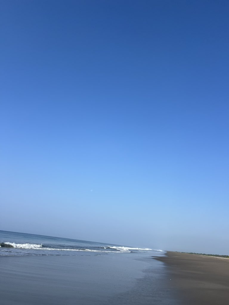 Gina Jaramillo tweet media