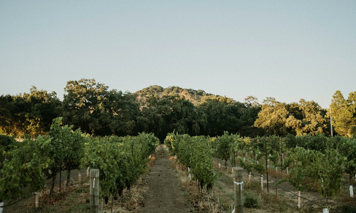 PacificLegal's tweet photo. Napa County is fining a family winery $3.5 MILLION—more than its lifetime revenue—for hosting previously approved wine tastings.

Lindsay Hoopes obtained all the required permits, and the property has had zero public complaints in over 40 years. https://t.co/hnX7T2Lkes