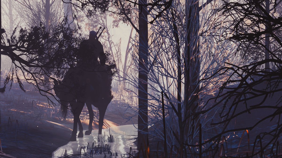 Disco 🌿🔦 tweet media