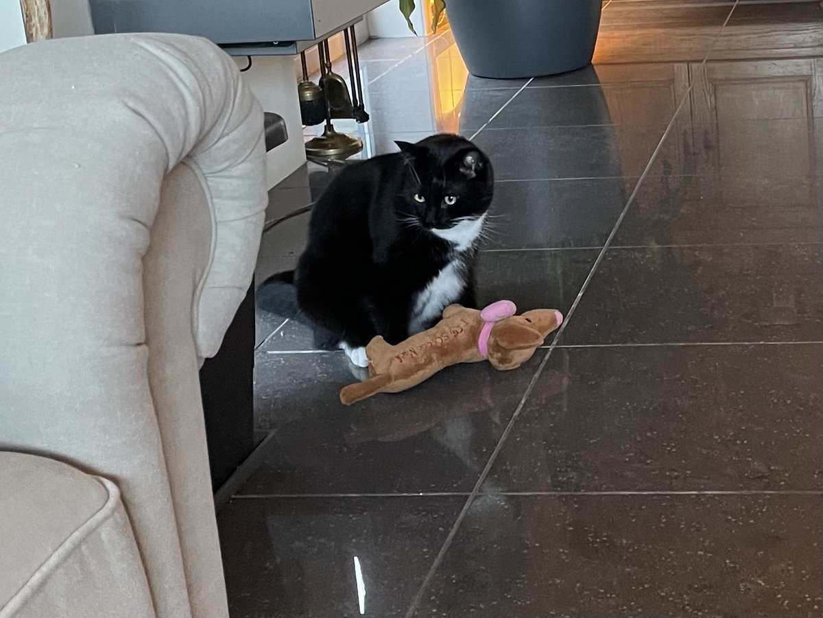 Jan-Luuk tweet media