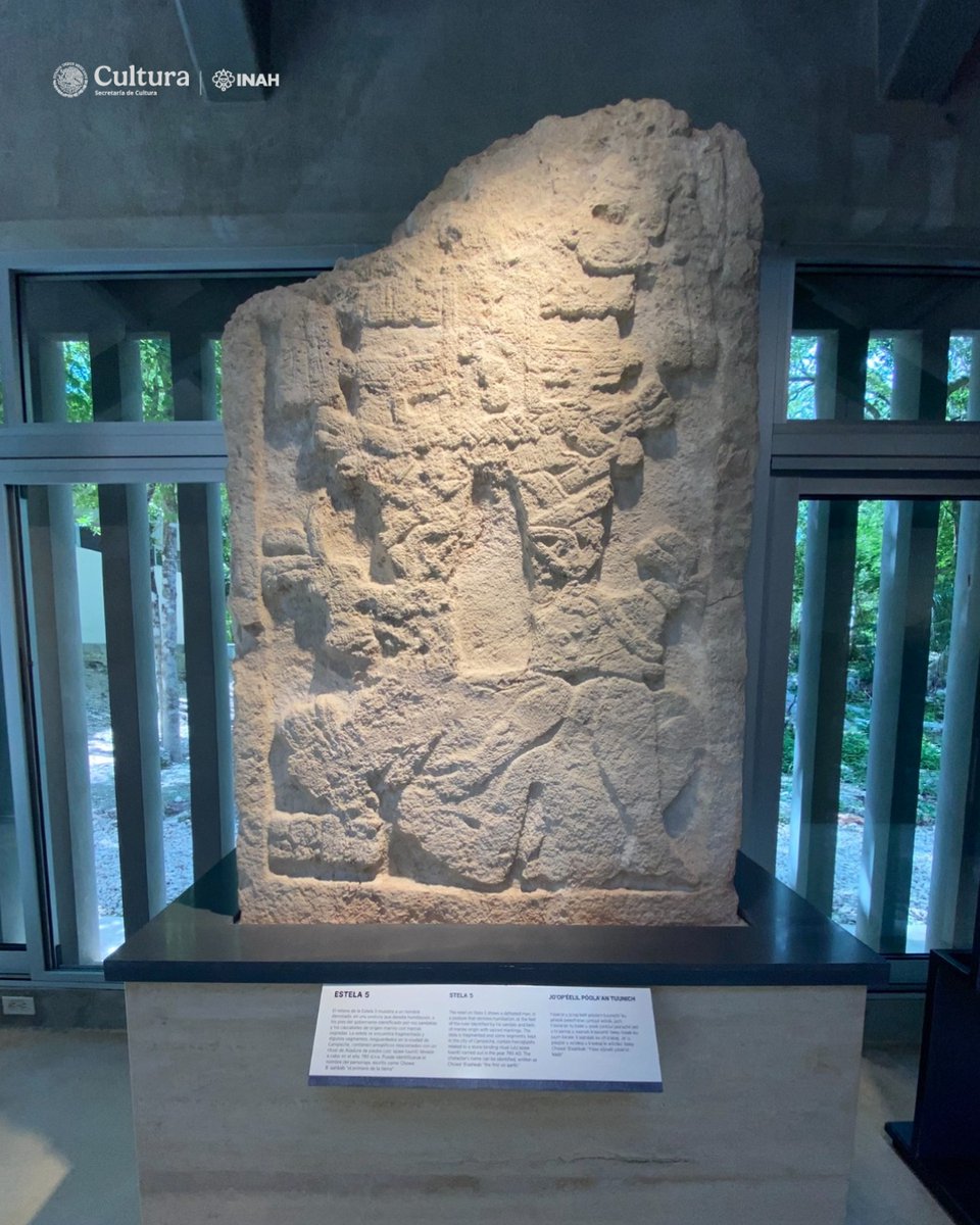 inahcampeche's tweet image. Estela 5✨
El relieve de la Estela 5 muestra a un hombre derrotado, en una postura que denota humillación, a los pies del gobernante identificado por sus sandalias y los cascabeles de origen marino son marcas...

Continúa leyendo en 👇facebook.com/CentroINAHCamp… 

#MUSED #Edzná