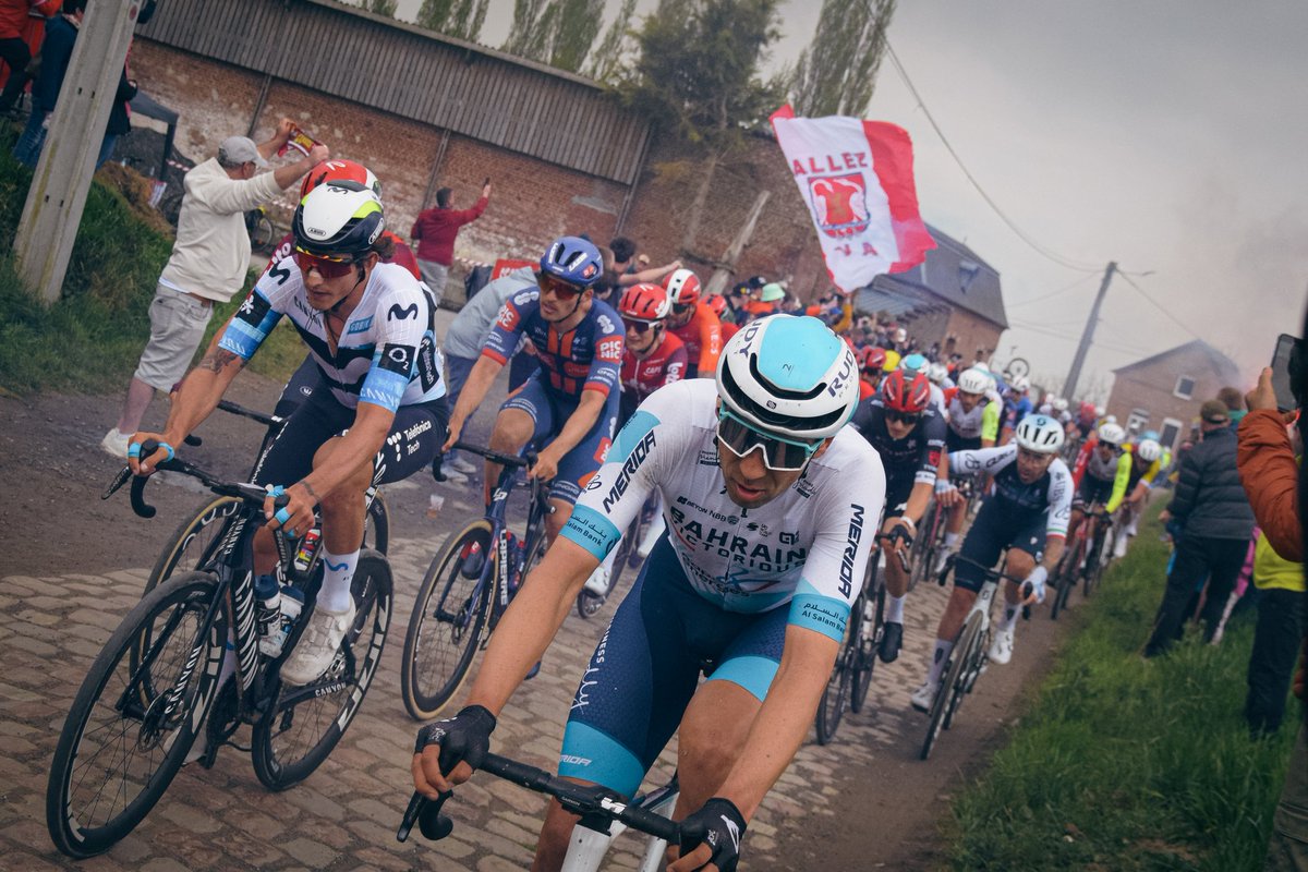 FSVA ❤️🤍 tweet media