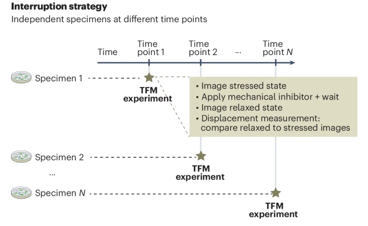 Nature Methods tweet media