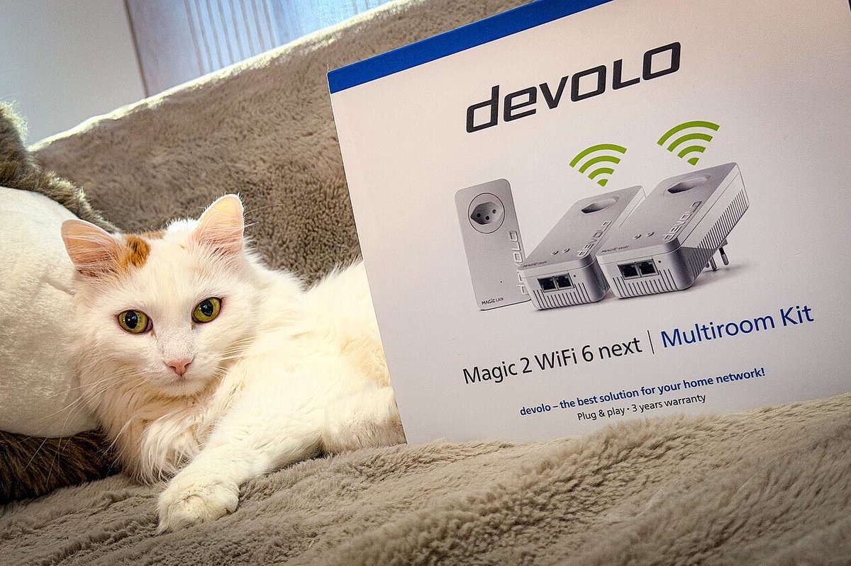games_ch's tweet photo. Drei-Königinnen-Tag-Gewinnspiel!!! 
Unsere Redaktionskatze hat „etwas“ für euch! 

#Devolo #Gewinnspiel 

https://t.co/fPfUTYMkjP https://t.co/mdc9CuYdAS