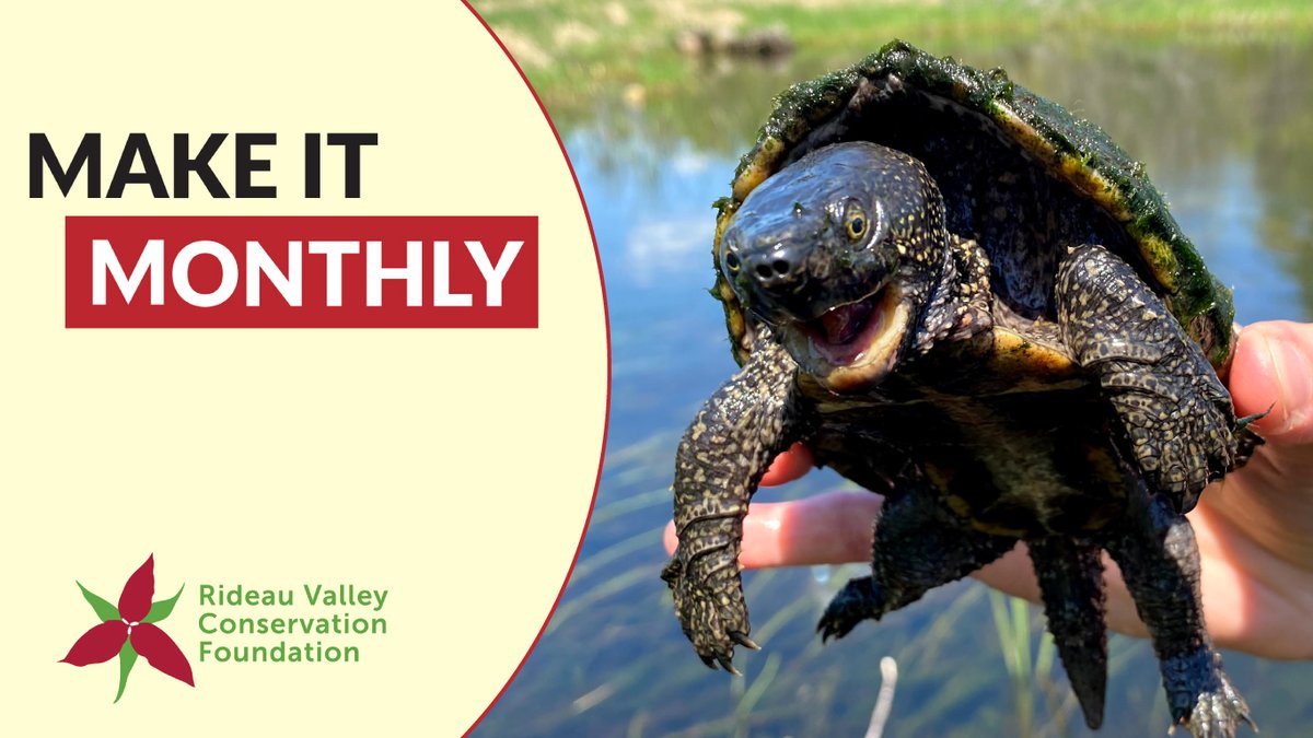 RVCFoundation's tweet image. Want to do more for your local environment in 2026? Keeping your resolution is as easy as setting up a monthly donation! Choose your preferred fund or let us direct your donation to the area of greatest need. Get started: canadahelps.org/en/dn/11994