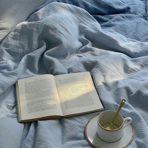 oliver 🐚 tweet media