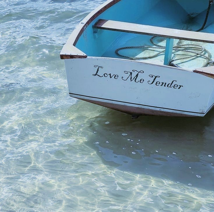 ⋆˚꩜｡ livros lidos em 2026
            — a thread

🐚 “coragem é ter medo, mas ser forte o bastante para ir lá e fazer mesmo assim.” ~ atmosfera, taylor jenkins reid