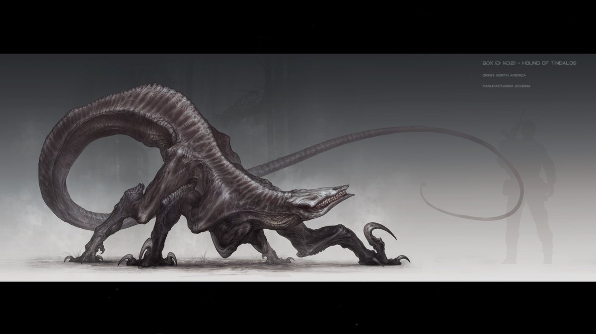 Midnight tweet media