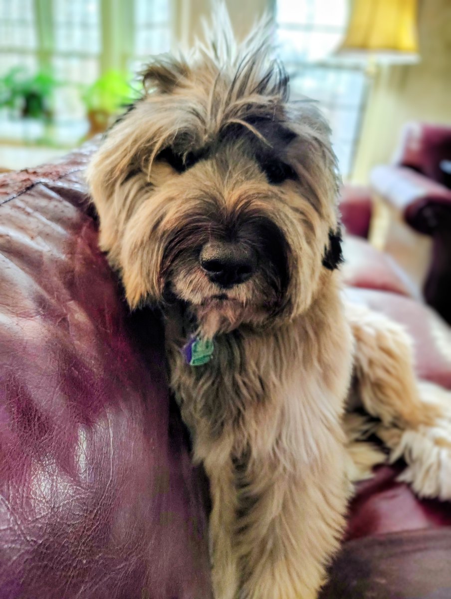 Dad was mad at his friend 
who wasn't returning his calls.
Yesterday he found out his friend had a stroke.
The guy will be okay.
But here's a reminder:
When you don't hear from your friend,
don't get mad.
Get worried.