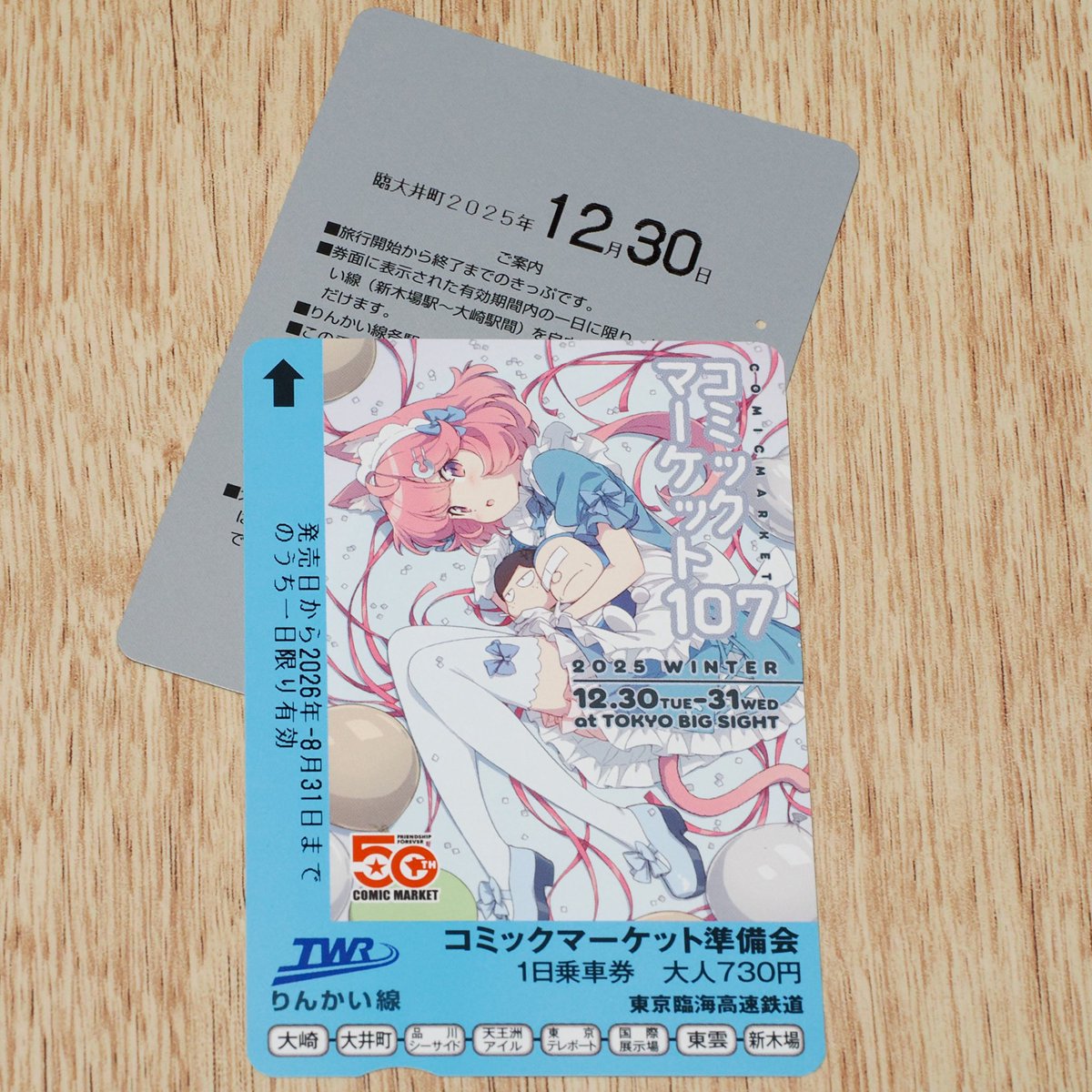 コミックマーケット100 カタログ りんかい線 コミケ100 1日券. E