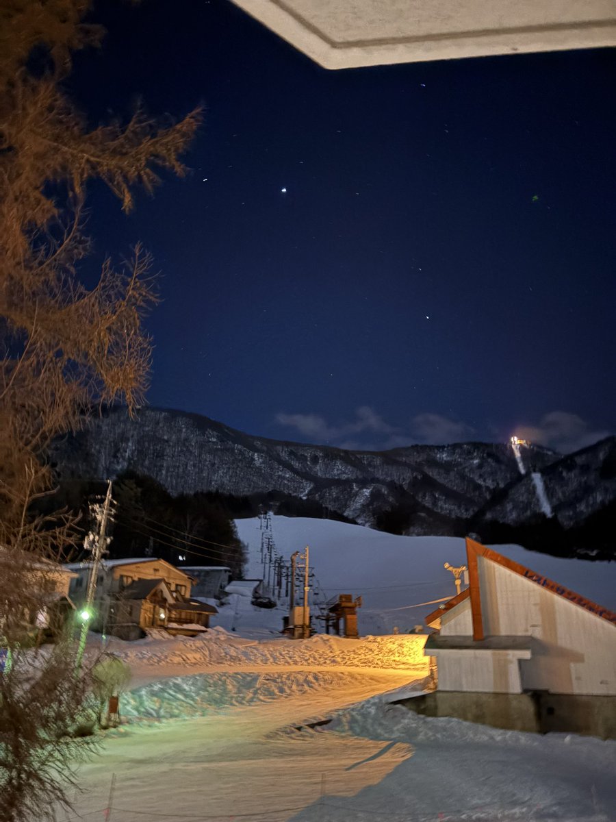 ぜるちゃん⟆͟ ͠ ‧͟ ݀𑁤 tweet media