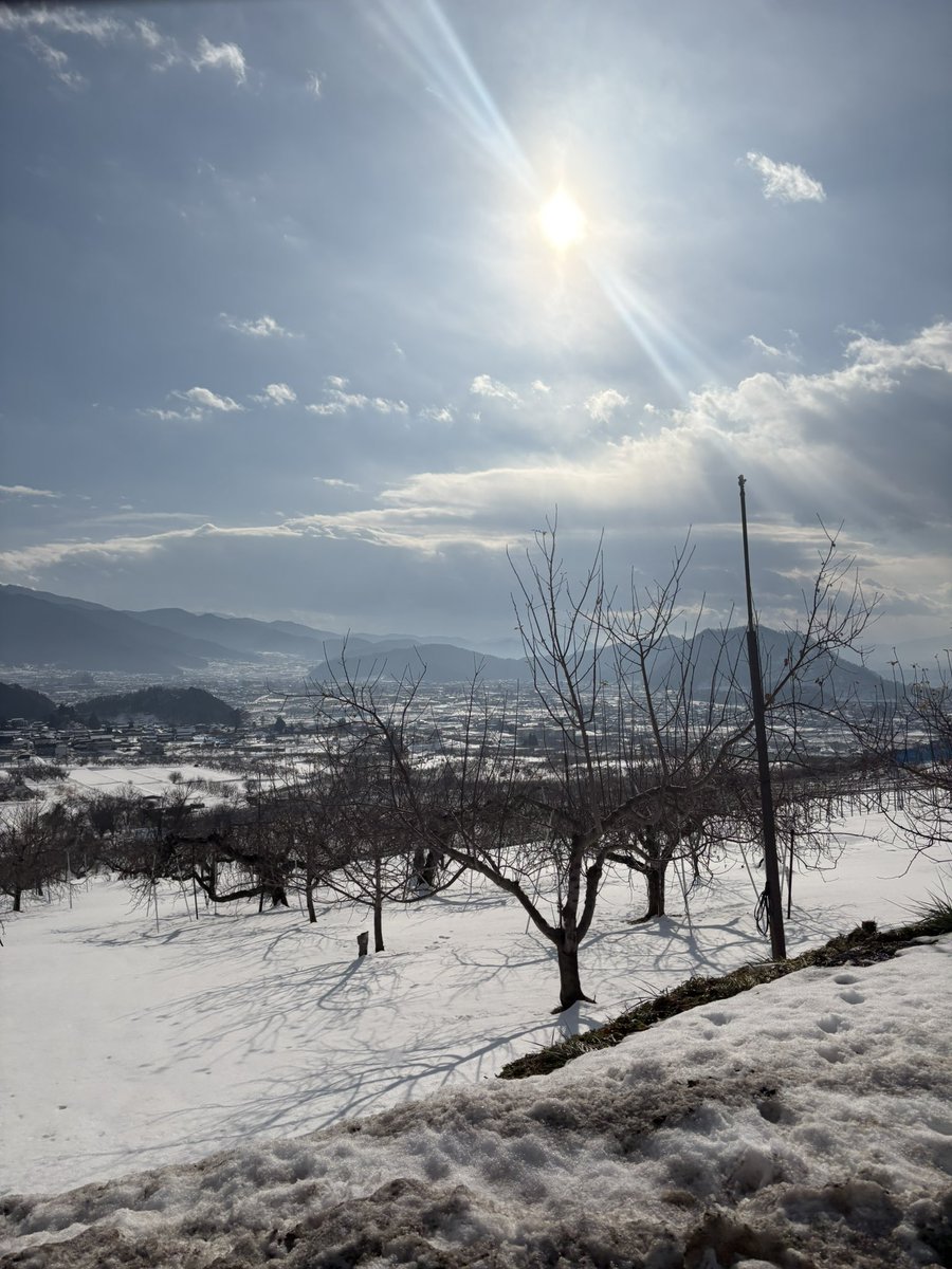 ぜるちゃん⟆͟ ͠ ‧͟ ݀𑁤 tweet media