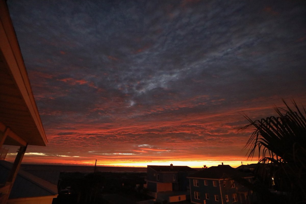 The Surf Station tweet media