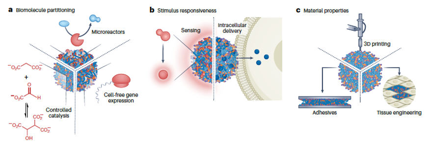 Lampel Lab tweet media