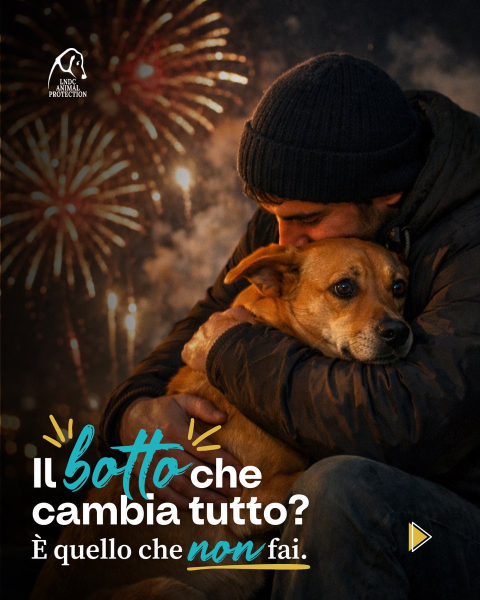 lndc_italia's tweet photo. Il botto che cambia tutto? È quello che NON fai.
Ogni Capodanno, migliaia di animali vivono un incubo fatto di panico, fughe, smarrimenti. Il rumore dei botti non è una festa: è un trauma. Per i nostri compagni a quattro
zampe, per la fauna selvatica, per chi non può capire né difendersi.

Anche quest’anno, LNDC Animal Protection lancia un appello: rinunciare ai fuochi d’artificio
è una scelta di civiltà. Un piccolo gesto, per un grande cambiamento.
Non servono esplosioni per celebrare: servono rispetto, consapevolezza, amore.
Scorri il carosello, troverai consigli semplici e pratici per aiutare il tuo animale a superare la
notte di San Silvestro in sicurezza.

E se puoi, diffondi questo messaggio: ogni condivisione può fare la differenza.

Per un Capodanno davvero felice. Per tutti.

#IlBottoCheNonFai #LNDCAnimalProtection #CapodannoSenzaPaura #NoAiBotti
#DifendiliConNoi