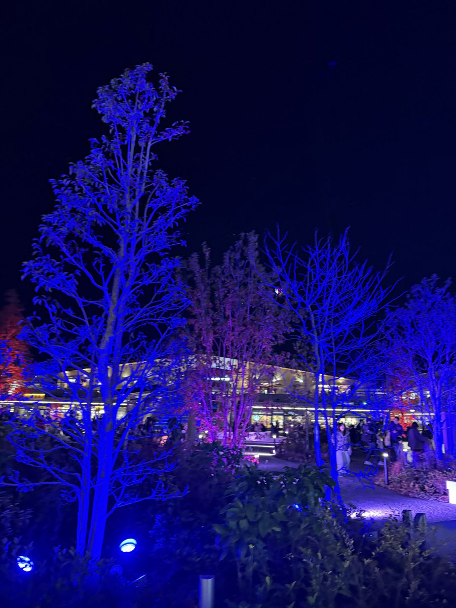 みぽりん tweet media