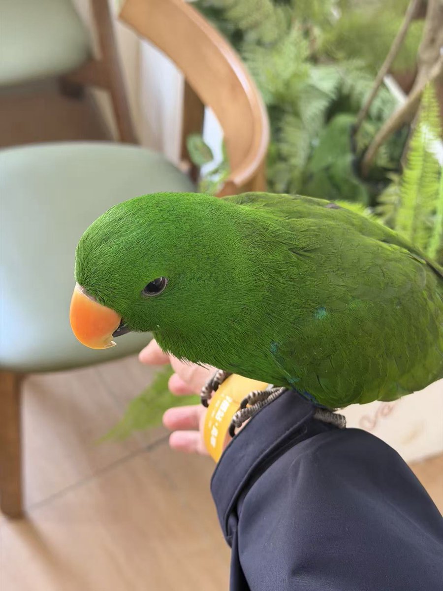 亦竹 / BH4GZJ tweet media