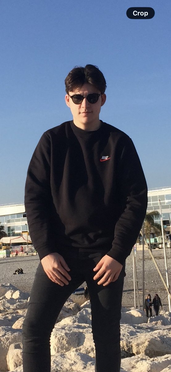 whalemaire tweet media