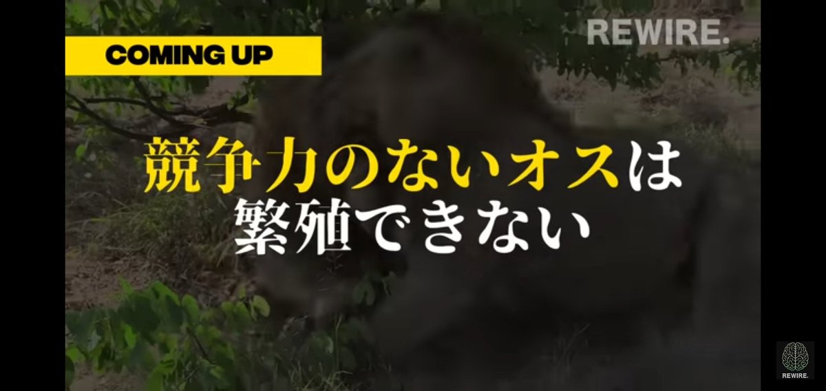 てすお@男磨きのプロ🔥 tweet media