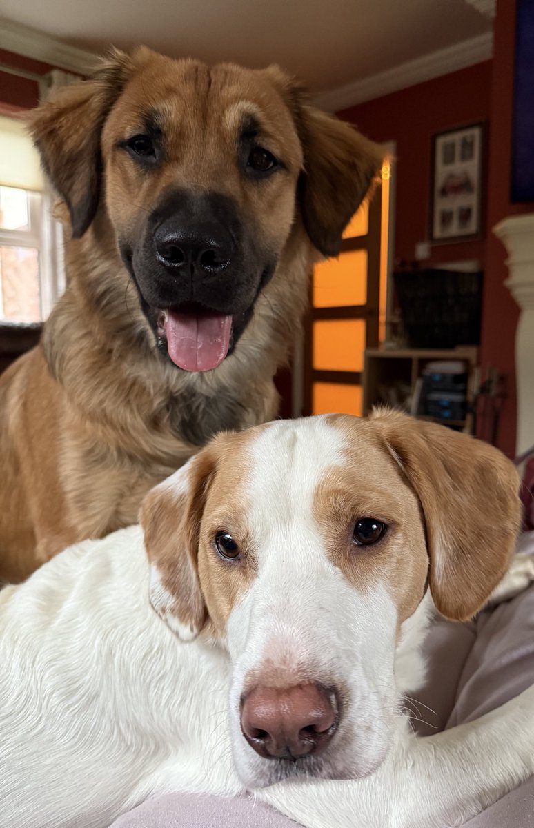 Kimberlyanne tweet media