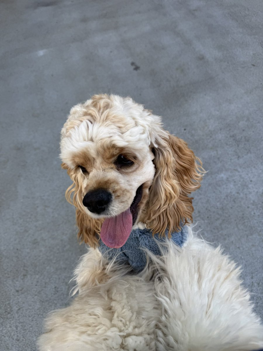 めるも「ボク うぃん、弟はエア 妹はエイル よろしくね