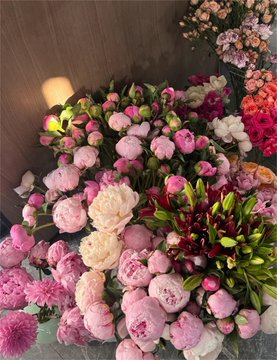 Grace121Grace's tweet photo. A fresh bloom to start a fresh day 🌺📷✨🌞 https://t.co/CTaLyM4zqQ