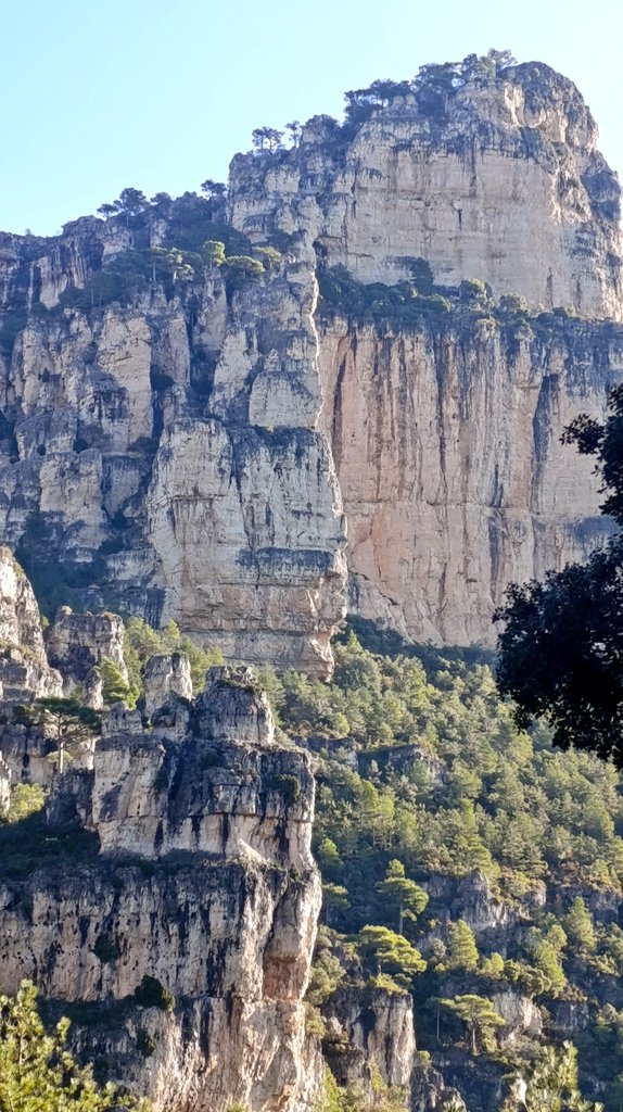 La sort de viure aquí