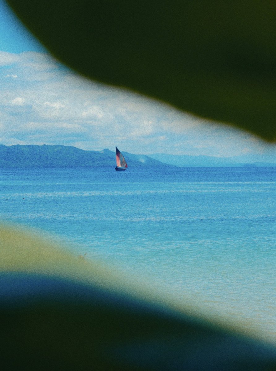 exhearts's tweet image. Some more photos I took in Madagascar 🇲🇬 📸