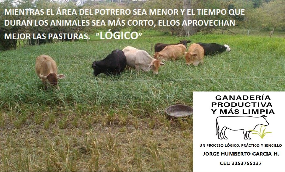 Ganadería Productiva (@ganaderiaproduc) on Twitter photo 