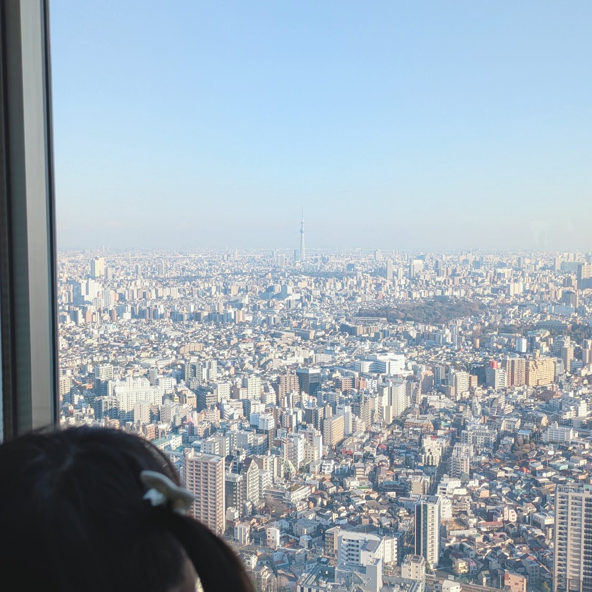 マォ(・8・) tweet media