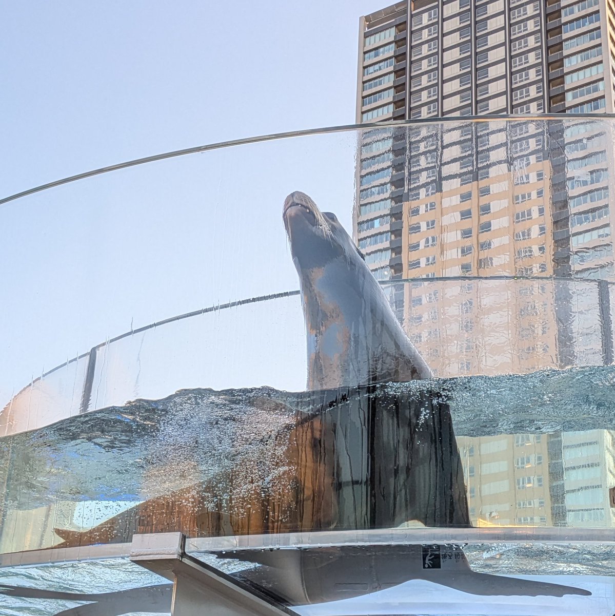 マォ(・8・) tweet media