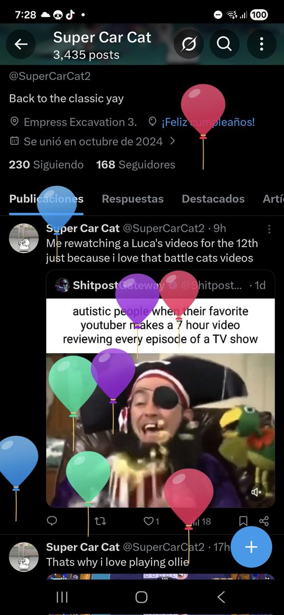 Super Car Cat tweet media