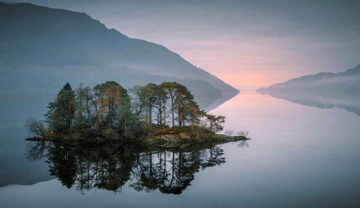 Damian Shields tweet media