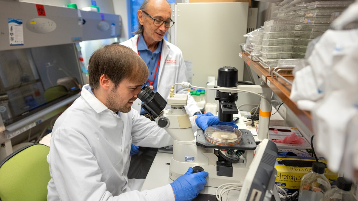 Cornell University tweet media