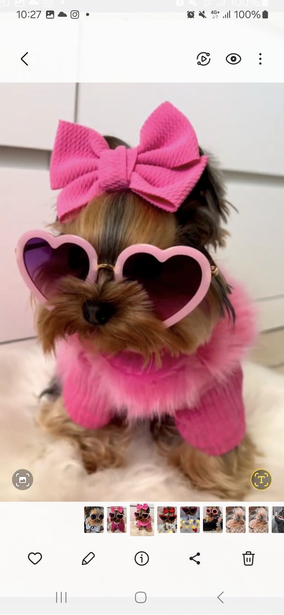 エケケケ tweet media