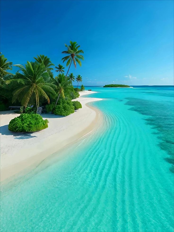 turquesa_711's tweet image. 🩵