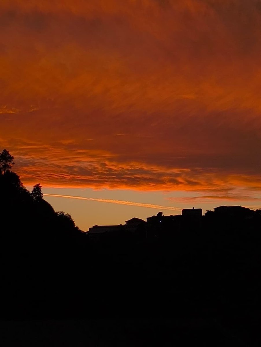 riseofducktan's tweet image. when work #onsite involves high key namjooning 🌲🎭 📖 🐾