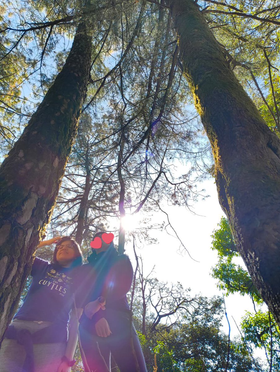 riseofducktan's tweet image. when work #onsite involves high key namjooning 🌲🎭 📖 🐾