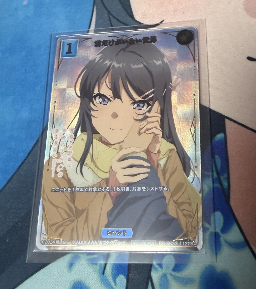 どうしても買いたかったもの とあるカードたちは金額的に絶望的すぎる