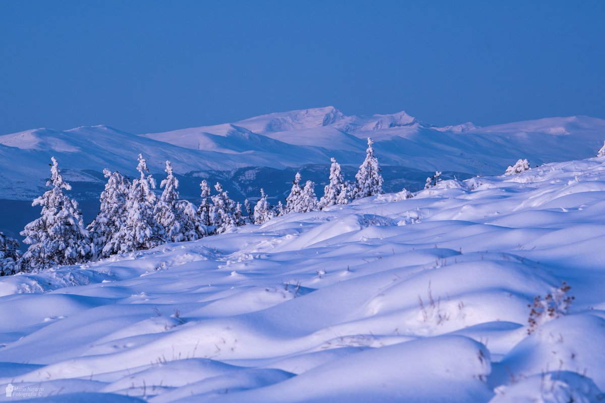 Os prometo que estoy en la provincia de Almería, al fondo Sierra Nevada. Primeras luces de hoy 30/12/25