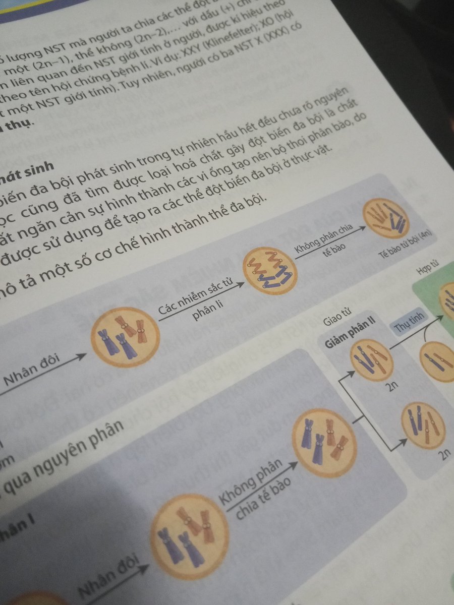 erinwindy08's tweet image. Ráng ngày mai nữa là xong òii
#cap3 #sinhhoc #colen #mayman #helpme #tienganh 🫠